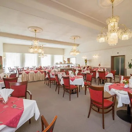 萨沃可豪泰spa酒店 4* Františkovy Lázně