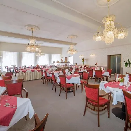 萨沃可豪泰spa酒店 Františkovy Lázně