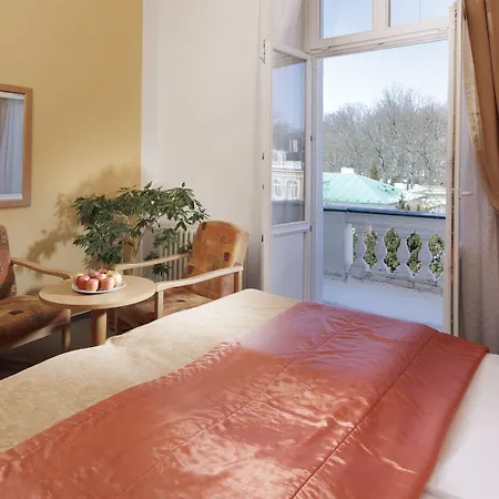 Savoy & 호텔 Františkovy Lázně