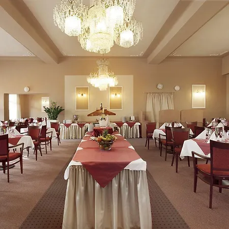 萨沃可豪泰spa酒店 Františkovy Lázně