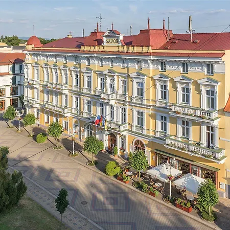 萨沃可豪泰spa酒店 Františkovy Lázně