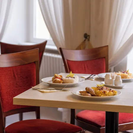 Savoy & 호텔 Františkovy Lázně