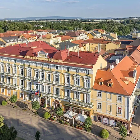 萨沃可豪泰spa酒店 4* Františkovy Lázně