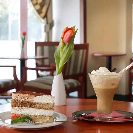 萨沃可豪泰spa酒店 酒店 Františkovy Lázně