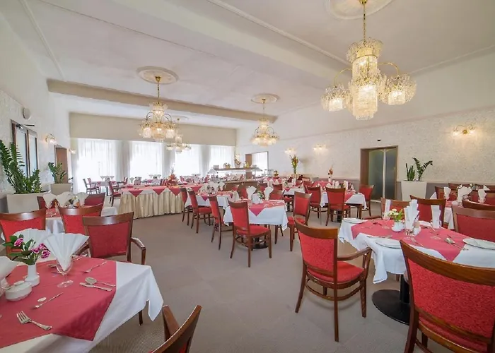 Savoy Spa&kurhotel Františkovy Lázně