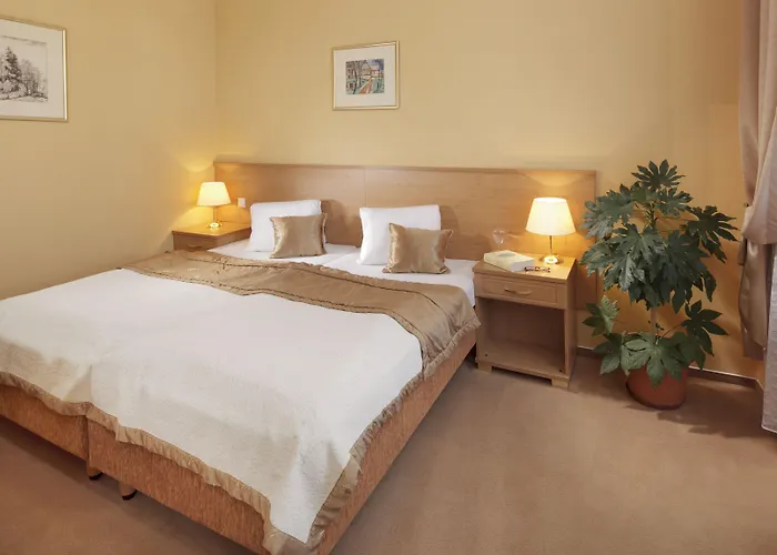 Hotel Savoy Spa&kurhotel